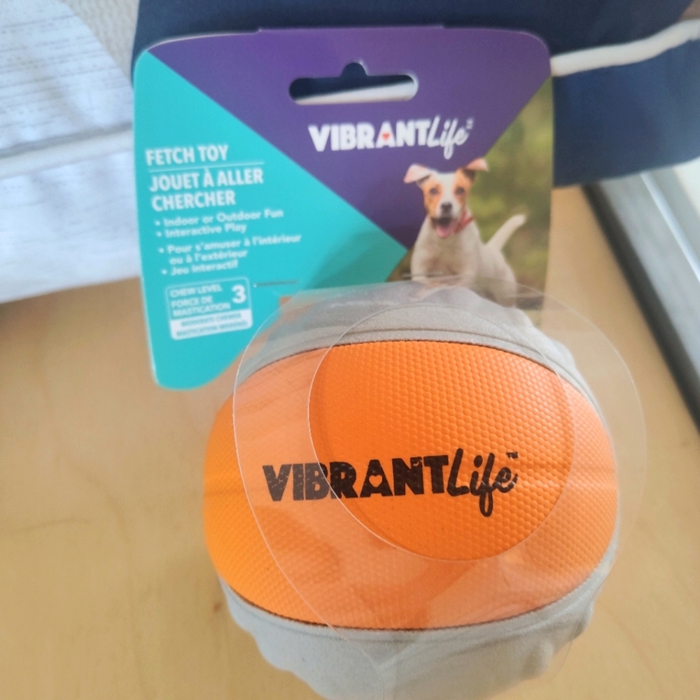 Vibrant Life Orange Fetch Dog Toy